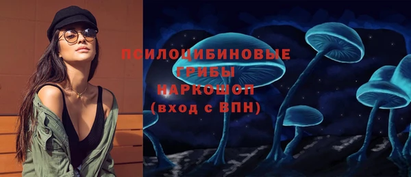 твердый Алзамай