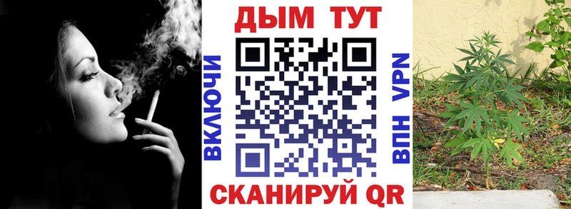 Купить где  Жиздра  Конопля планчик 